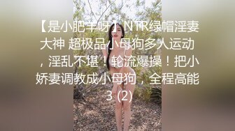 【是小肥羊呀】NTR绿帽淫妻大神 超极品小母狗多人运动，淫乱不堪！轮流爆操！把小娇妻调教成小母狗，全程高能 3 (2)