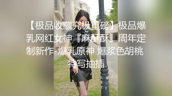 各种方法折磨性感丝袜美女空姐