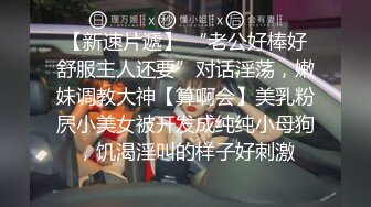 台湾SWAG linlinbebe NTR車模老婆的綠帽夢想