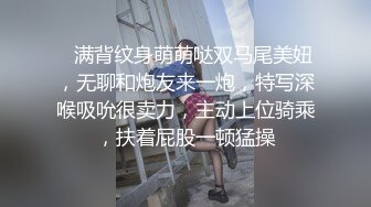 [2DF2] 调教极品美乳爆裂黑丝母狗骚货 淫语调教 翘美臀后入虐操抽打浪叫不止 玩到抽搐高潮[BT种子]