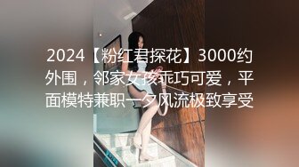 欧美厕所偷拍Pisswc系列合集【39V】 (21)