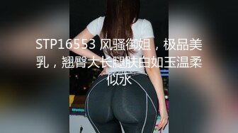 (中文字幕) [ATID-466] BBP ビッグブラックペニスに堕ちた女捜査官 今井夏帆