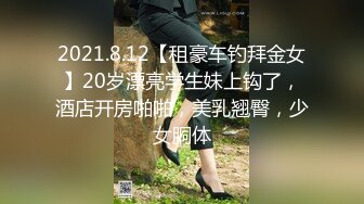 涩会传媒 SH-007 美女主播线下约榜一大哥见面 满足他的需求 梦岚