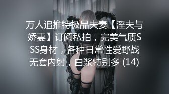 Henry夫妇【顶级性爱 绿意盎然】极品美娇妻 七