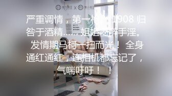 成人式同学会NTR～和前男友重逢后音讯不明的一夜