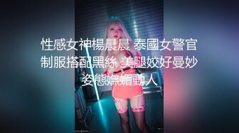 全套情趣空姐制服外围美女，修长美腿渔网袜，吸吮舔屌插嘴口活一流，扶着细腰后入肥穴，站立侧入镜头前一进一出