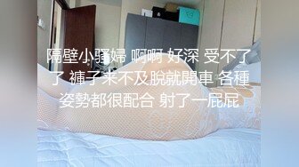 国产麻豆AV 麻豆US LAX0007 诱人俏女仆 Rosealyn Sphinx