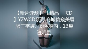 【新片速遞】 【精品❤️CD】YZWCD系列 商城偷窥美眉 骚丁字裤、粉色窄内，13痕迹明显