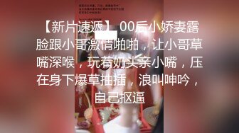 [高清无水印]91系列哥最新情景巨作-女警系列第三部：互相伤害 ～1080P高清无水印_48分钟完整原版