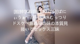 [脸肿字幕组][180706][ばにぃうぉ～か～]OVAむっつりドスケベ露義母姉妹の本質見抜いてセックス三昧