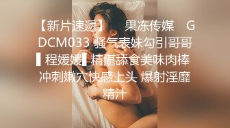 3D牛角小仙女有爆乳又淘气