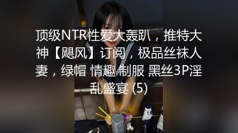 济南炮打南方小骚妇淫叫连连