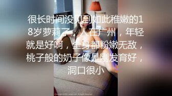 极品美乳人妻 刚接完孩子就过来了