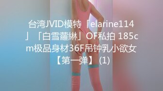 台湾JVID模特「elarine114」「白雪蘿綝」OF私拍 185cm极品身材36F吊钟乳小欲女【第一弹】 (1)