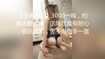 【中文字幕】THE FIRST ANAL SEX ザ ファースト アナル セックス